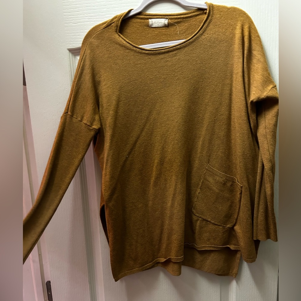 Altard State oversized sweater with fitted sleeves. Rust color